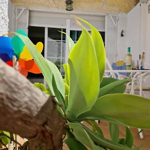 San Antonio - Beach, Pool And Terrace Apartment Torremolinos